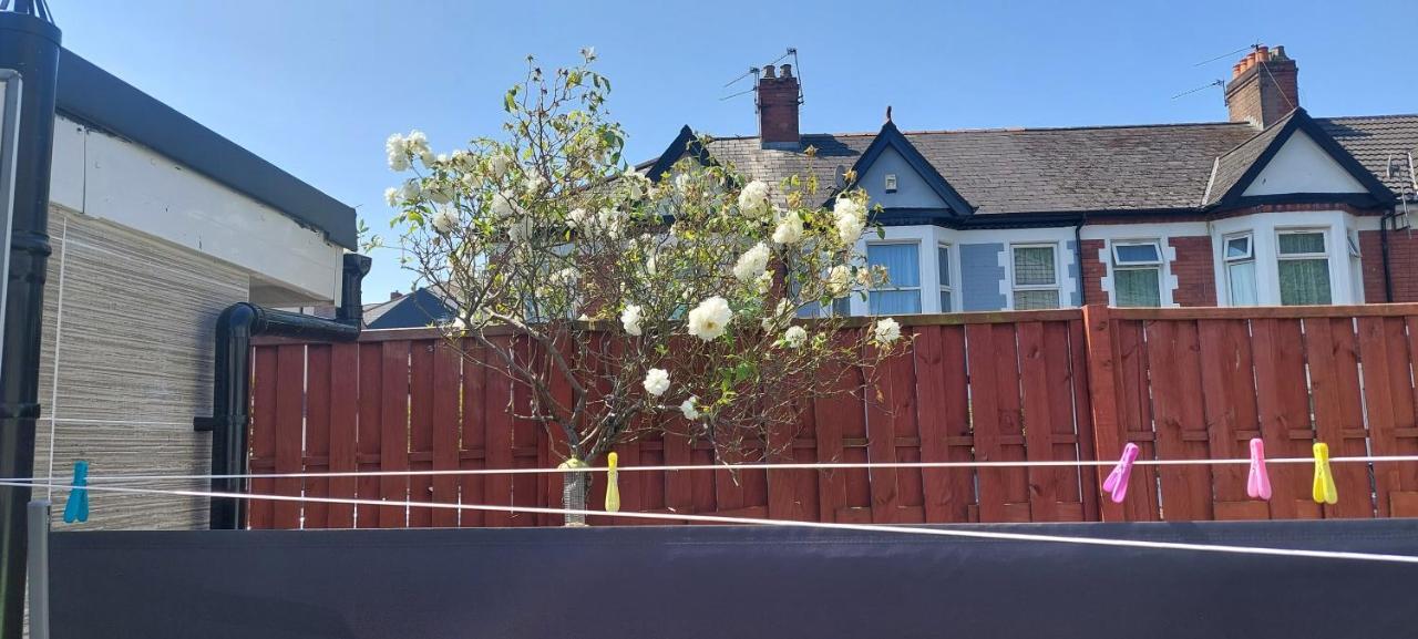 Homey Studio In Newport Perfect For Couples & Travelers Exteriör bild